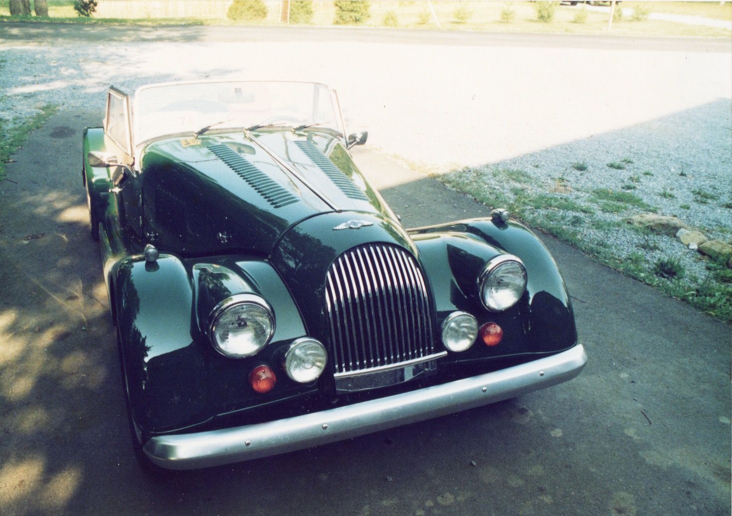 Light Green Morgan