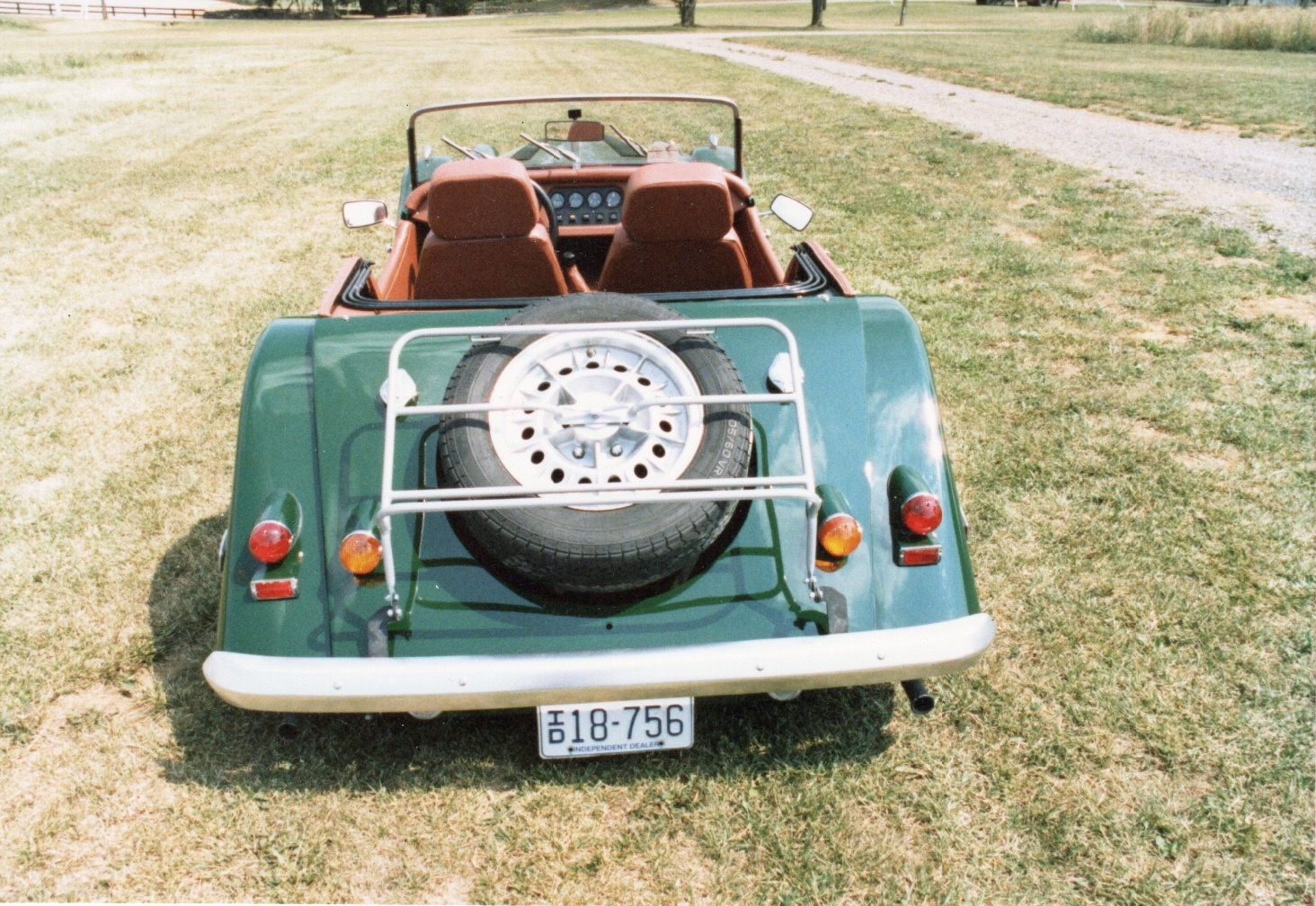 Light Green Morgan