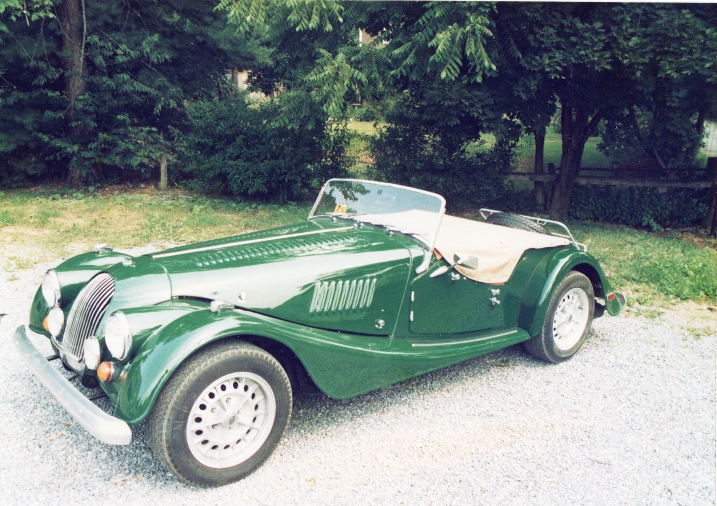 Light Green Morgan