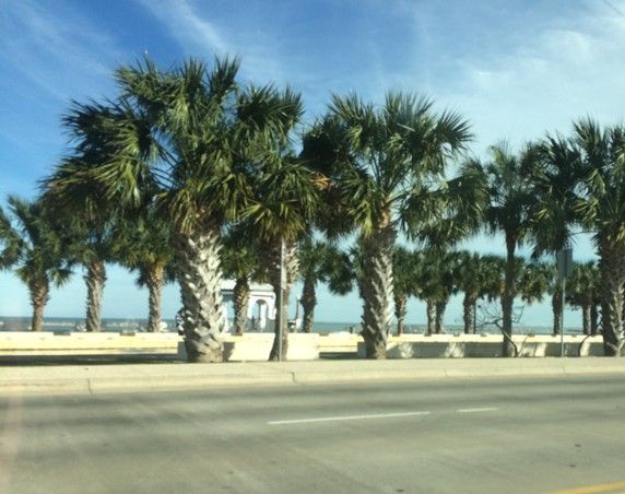 Downtown Corpus Christi Bay Front