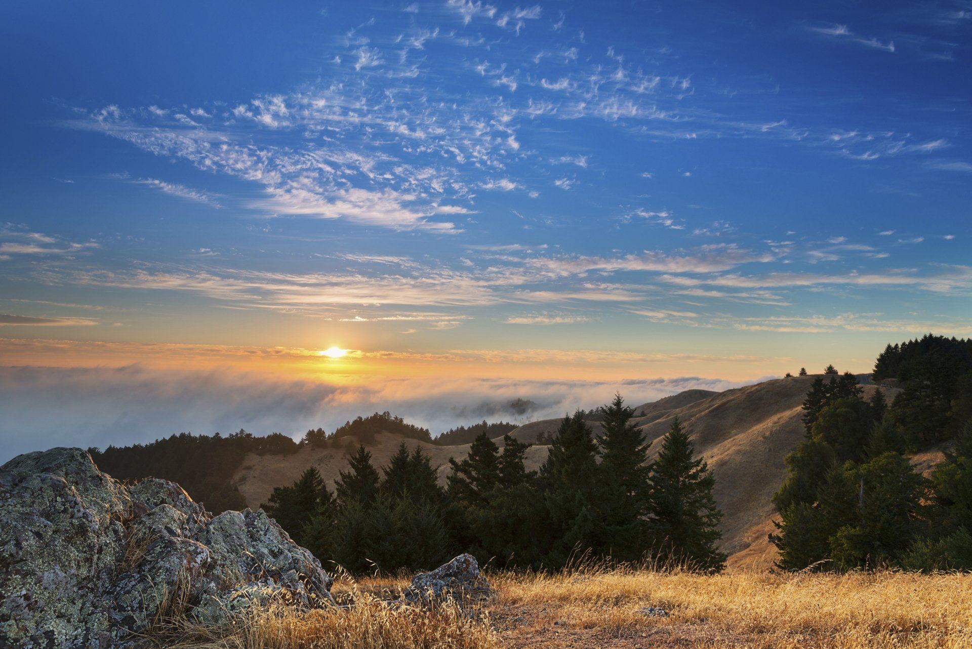 Sun Rises