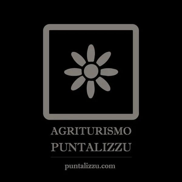 Logo per Agriturismo Puntalizzu: fiore stilizzato in cornice quadrata, sito web qui sotto.
