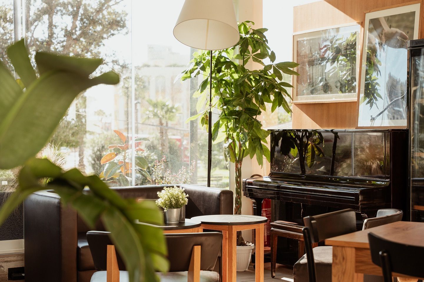 Interno del bar con pianoforte, tavoli, sedie, piante e grandi finestre.