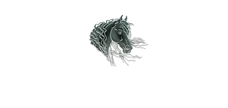 A detailed line art illustration of a dark horse’s head and flowing mane, set against a plain white background.