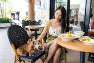 rise-and-shine-breakfast-lunch-break-fast-menu-img