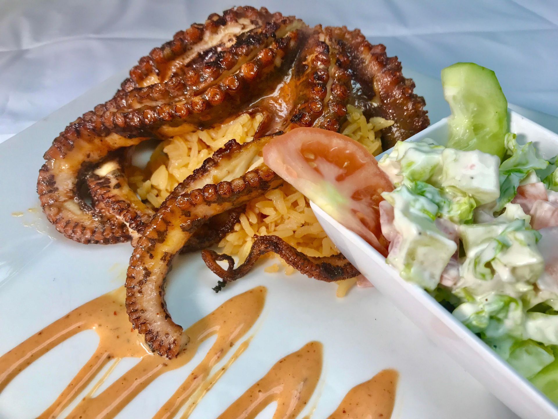 Grilled octopus with rice and salad on a white plate, drizzled with sauce.