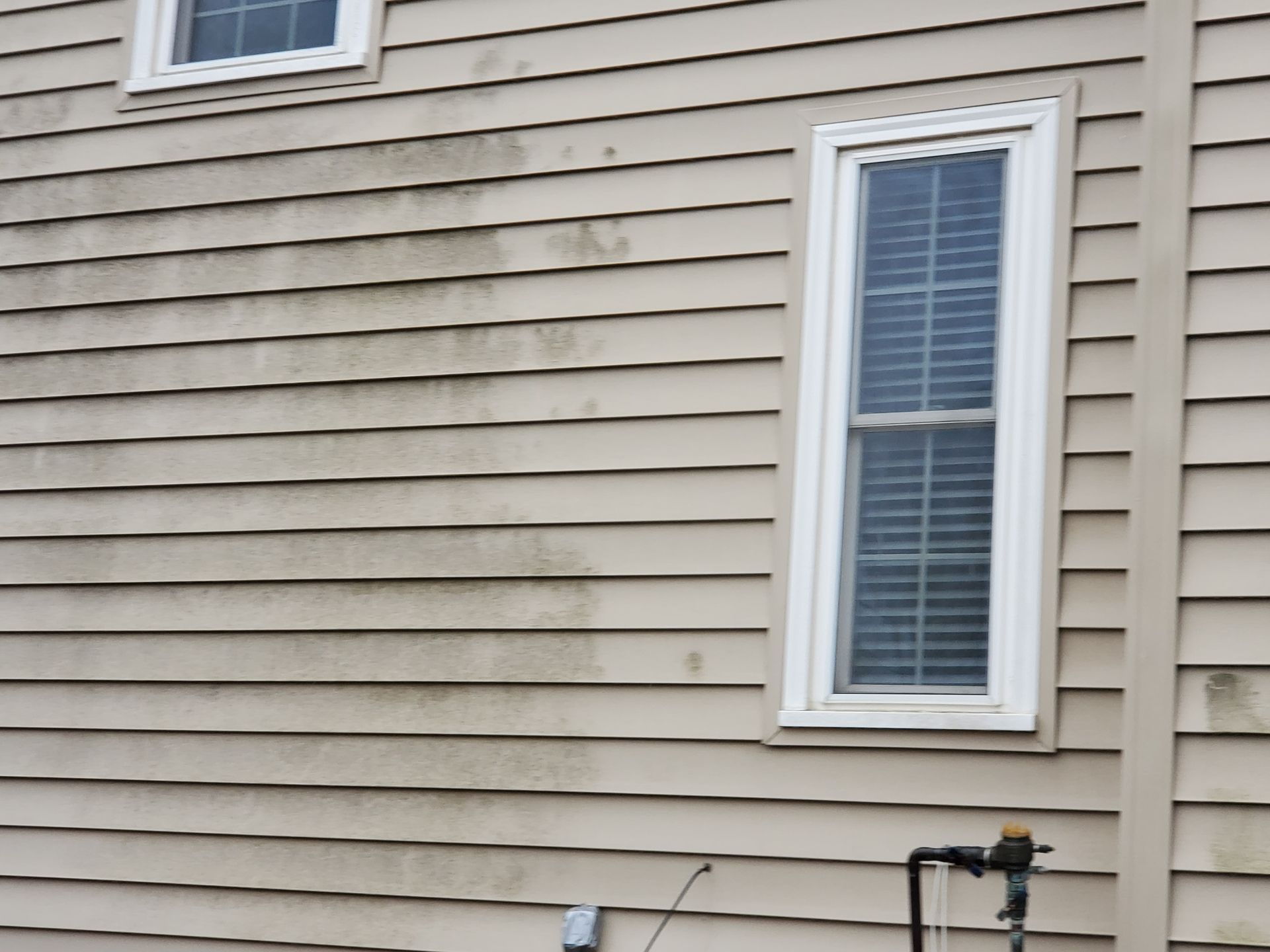 Beige house siding with a white-framed window and dark stain marks below it.