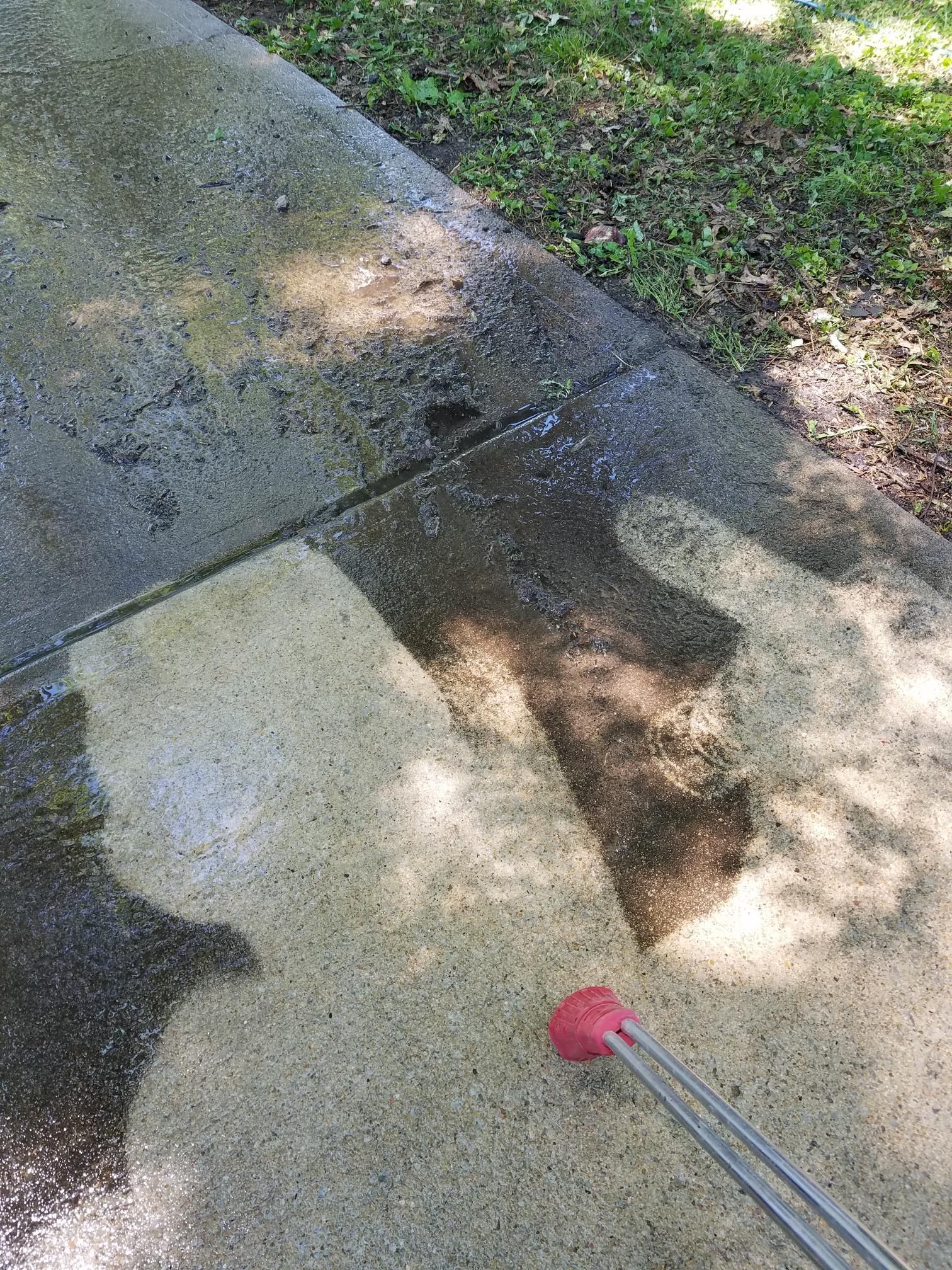 Sidewalk with sun and tree shadows; a red-tipped cane points toward a concrete edge.