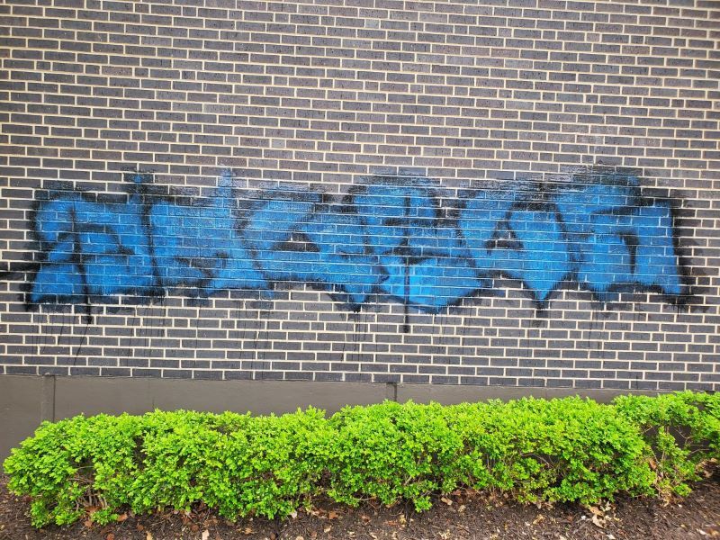 Blue graffiti on a brick wall above a row of green shrubs.