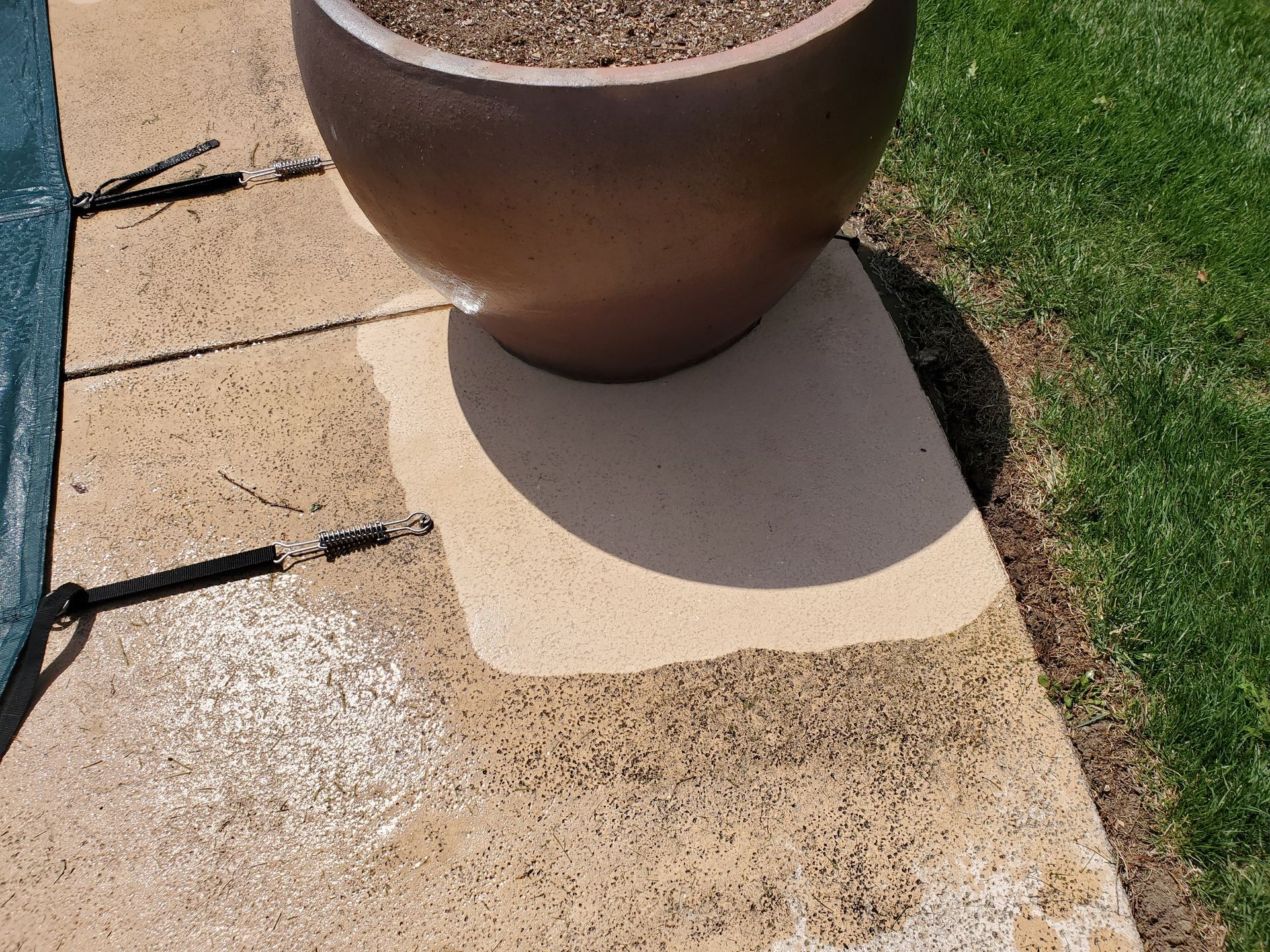 Large planter on a concrete patio beside grass and a swimming pool edge