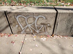 Graffiti tag on a concrete curb beside a sidewalk with scattered leaves.