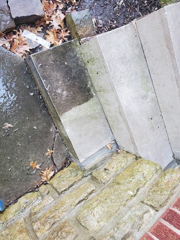Stone steps and wet pavement with mossy patches beside a brick walkway and scattered leaves