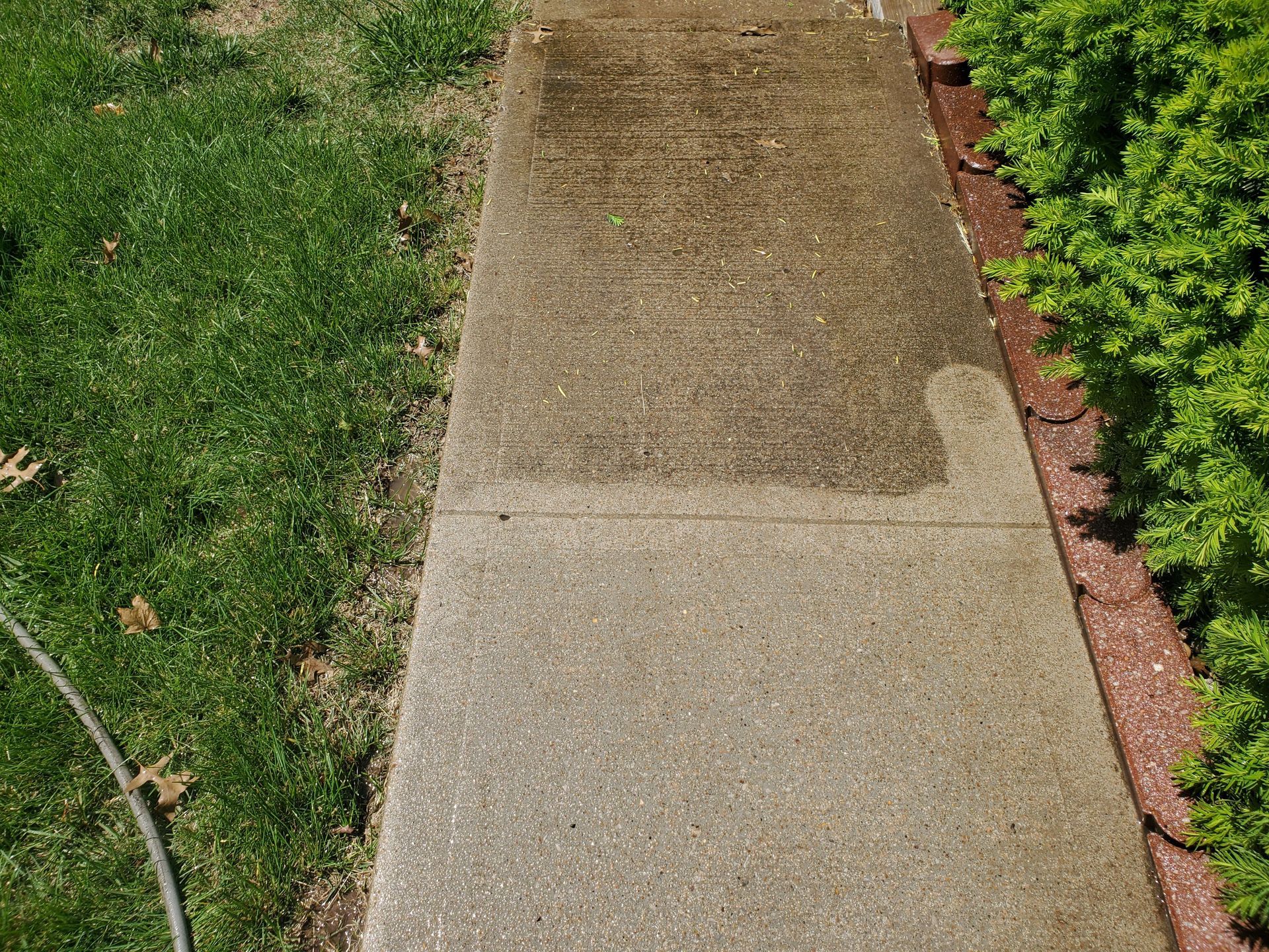 Concrete sidewalk bordered by green grass and shrubs, with a damp section in the center.