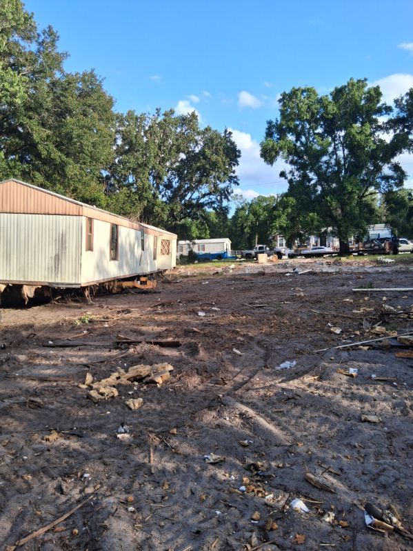 Burned lot with charred ground, a row of mobile homes, and tall trees under a clear sky