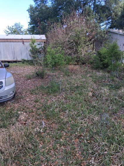 Overgrown yard beside a white fence, with a car at the left edge and trees in the background