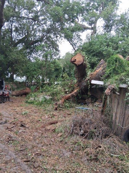 Cleared yard with a large cut tree trunk, fallen branches, and muddy ground beside a fence and trees