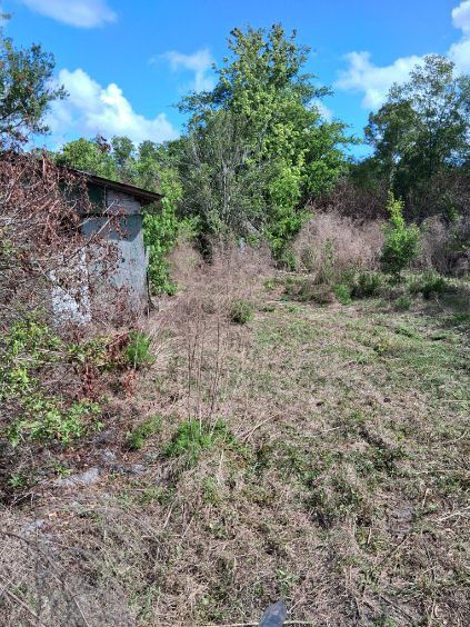 Overgrown grassy yard beside a weathered building under a bright blue sky