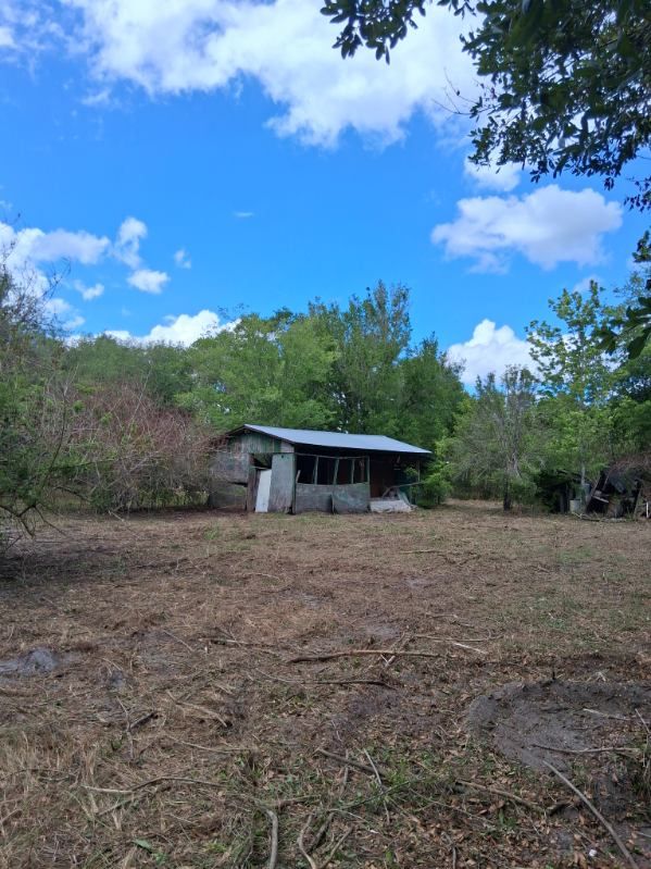 Small weathered shed in a dry clearing under a bright blue sky with scattered clouds and trees around it