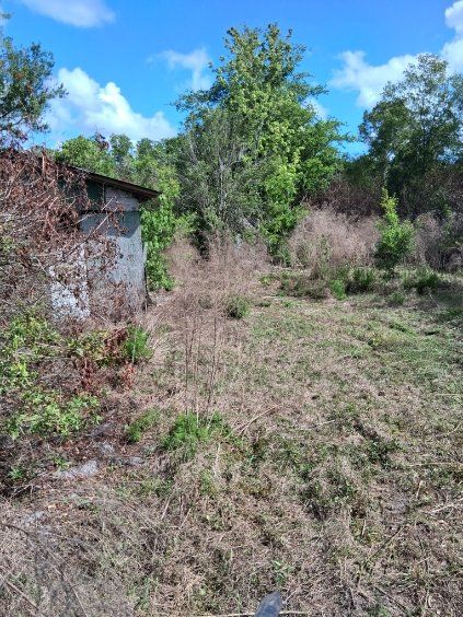 Overgrown grassy lot beside a weathered building under a bright blue sky