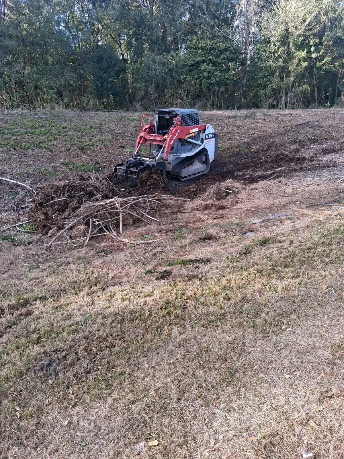 A red and white compact track loader clears brush on a dirt hill near a forest.