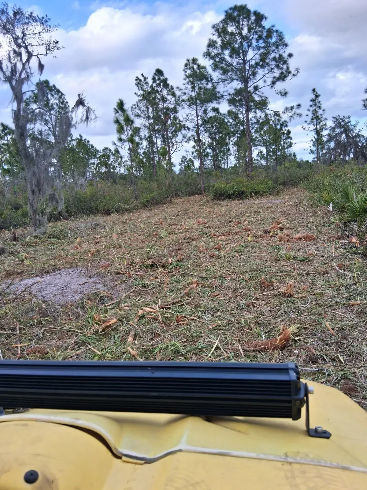 A view from an off-road vehicle showing a cleared path through a field with pine trees under a partly cloudy sky.