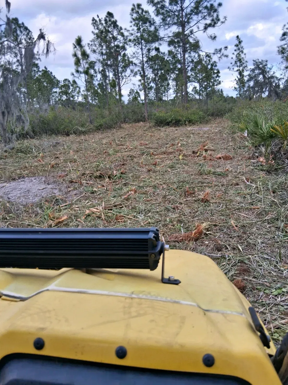 A yellow vehicle hood with a mounted black LED light bar, looking out over a cleared, grassy field toward distant trees.