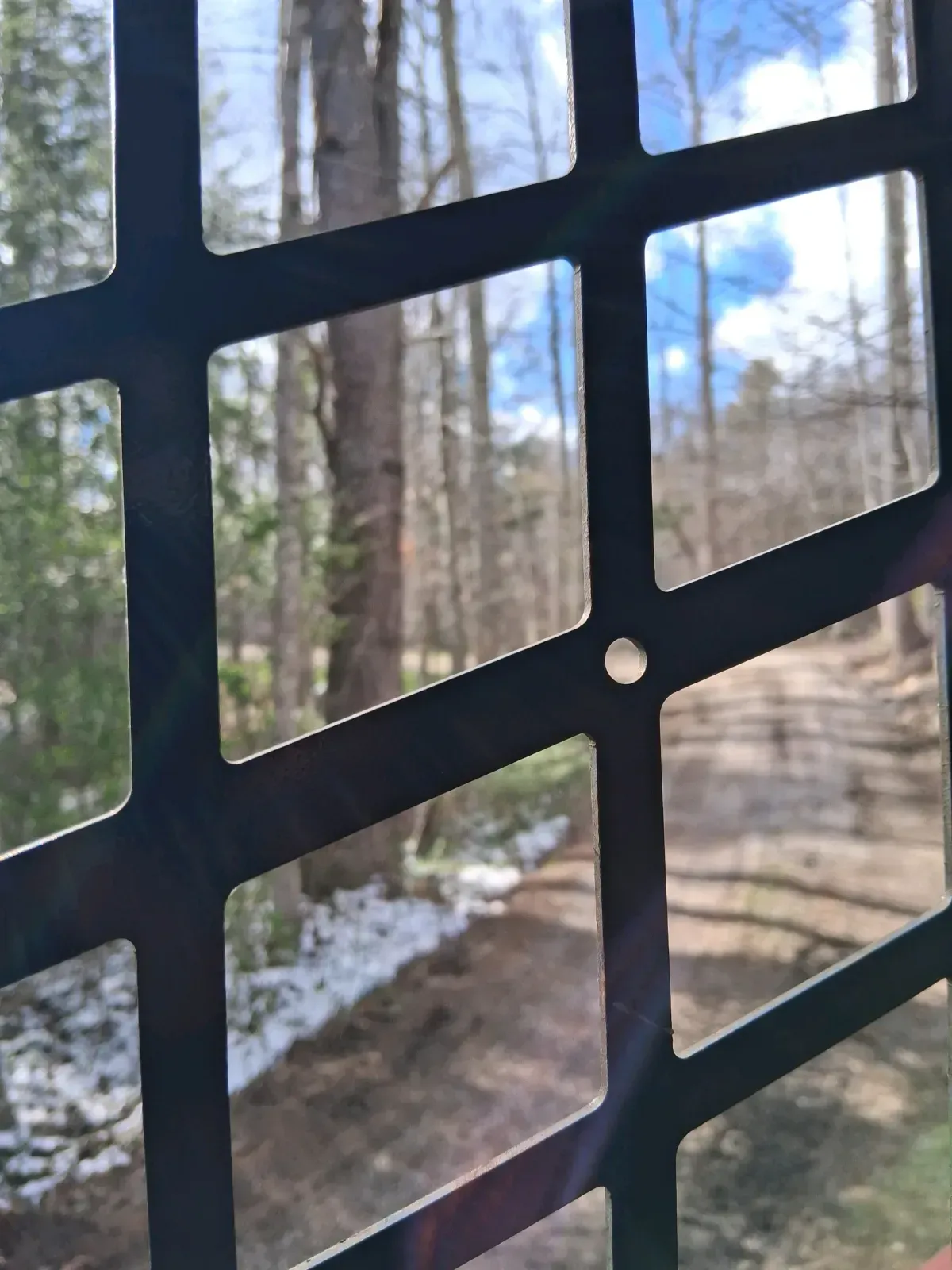 View through a black metal grid looking out at a forest path with patches of snow.