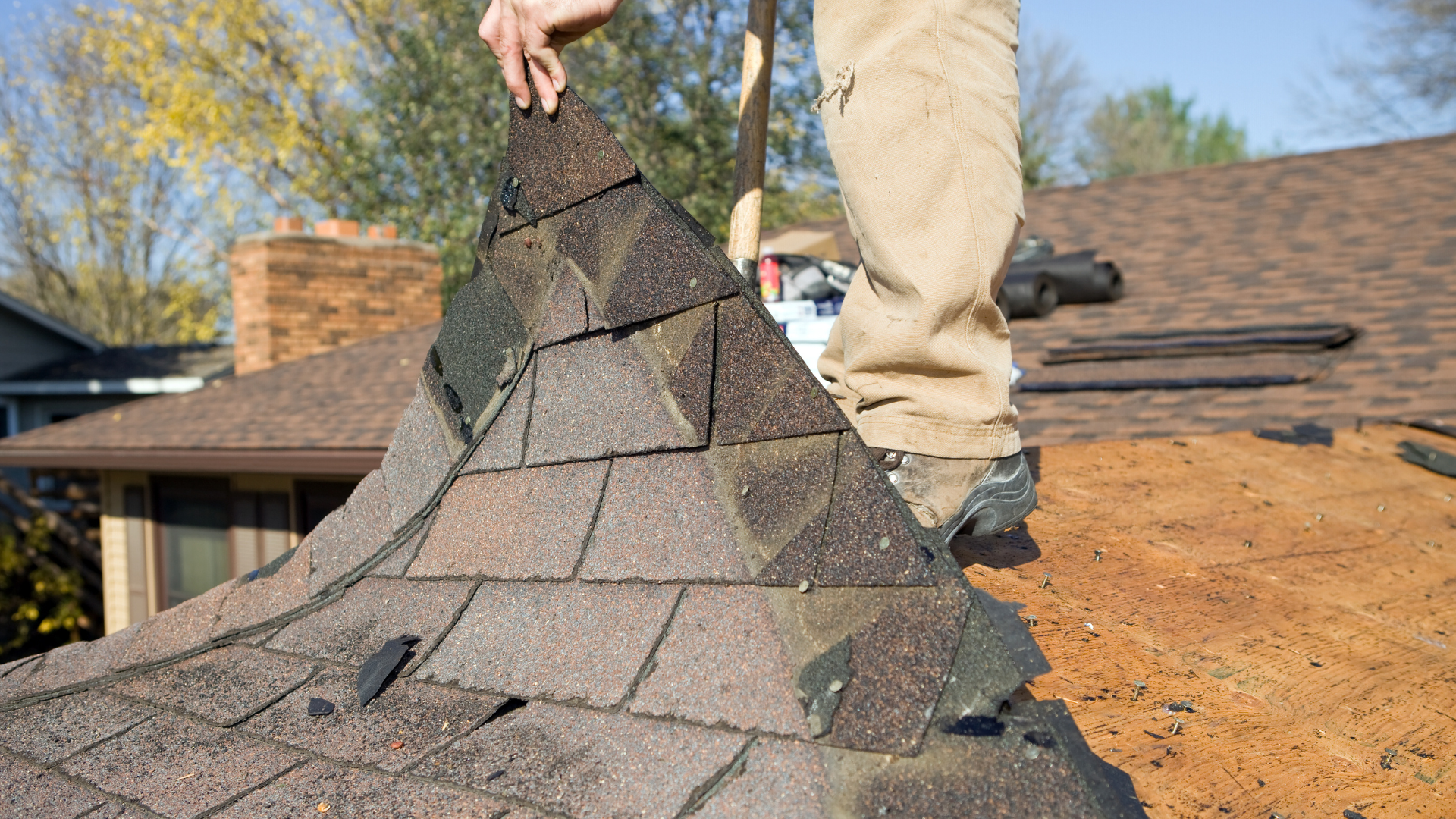 A person stands on a residential roof, pulling up old brown asphalt shingles to reveal the wooden roof deck underneath.