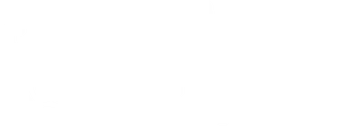 White background.