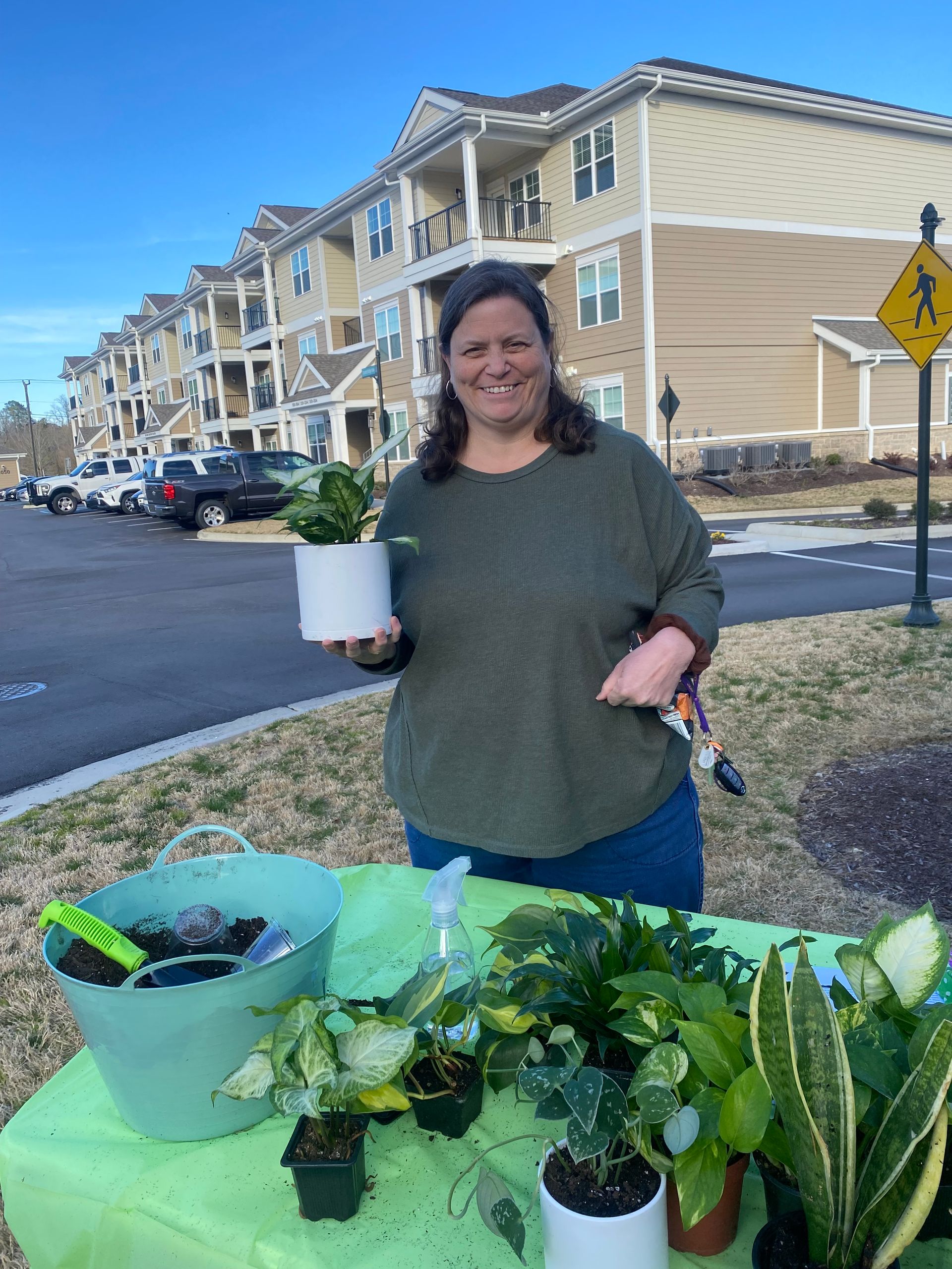 Events & Activities Hallstead Reserve