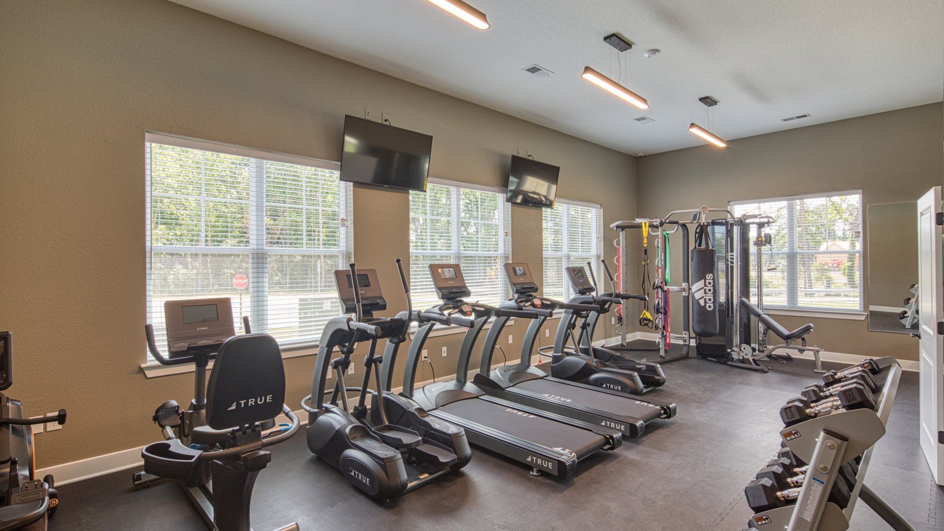hallstead gym