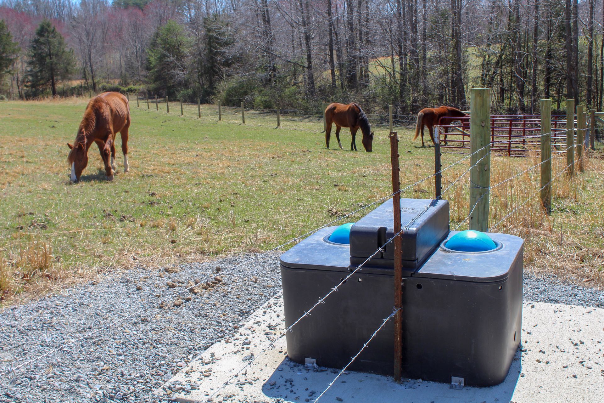 Two horses are grazing in a field next to a water trough.
