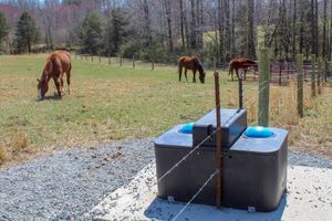 Two horses are grazing in a field next to a water trough.