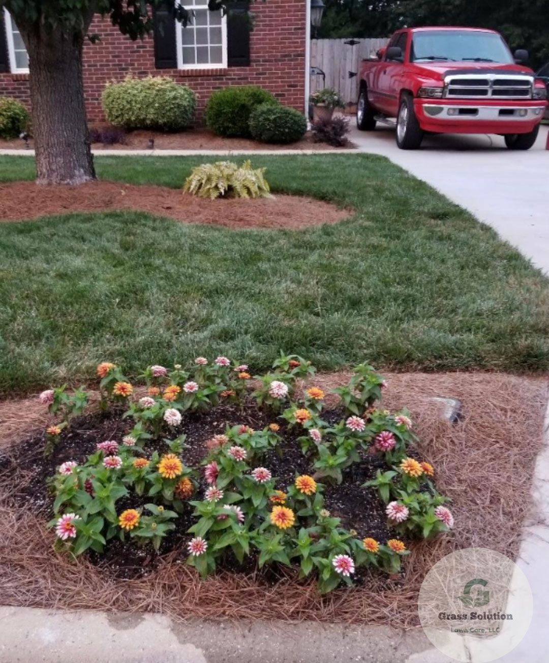 yard flower after lawn care in Greensboro, NC