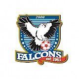 Falcons