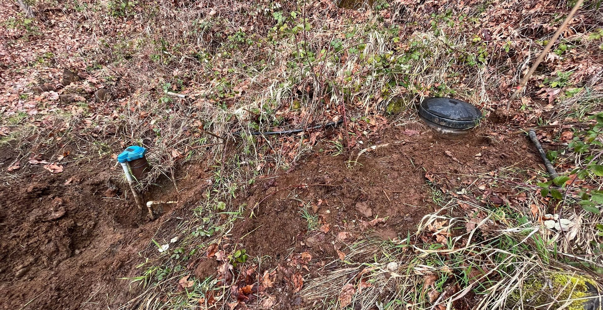 Small muddy yard hole with a blue sprinkler stake and a black cover nearby amid patchy grass and dirt
