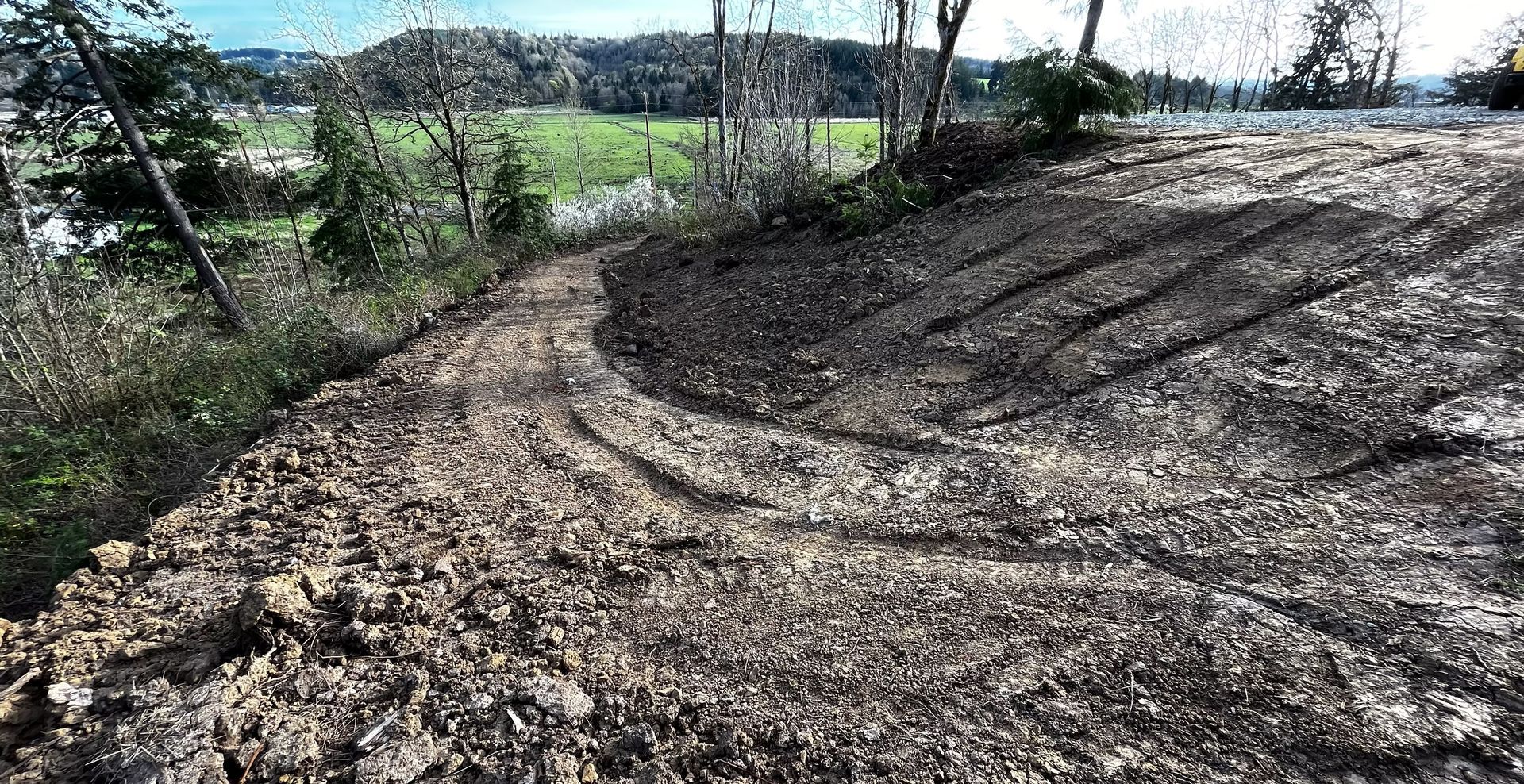Rutted dirt path curving through a wooded hillside beside green fields under a bright sky