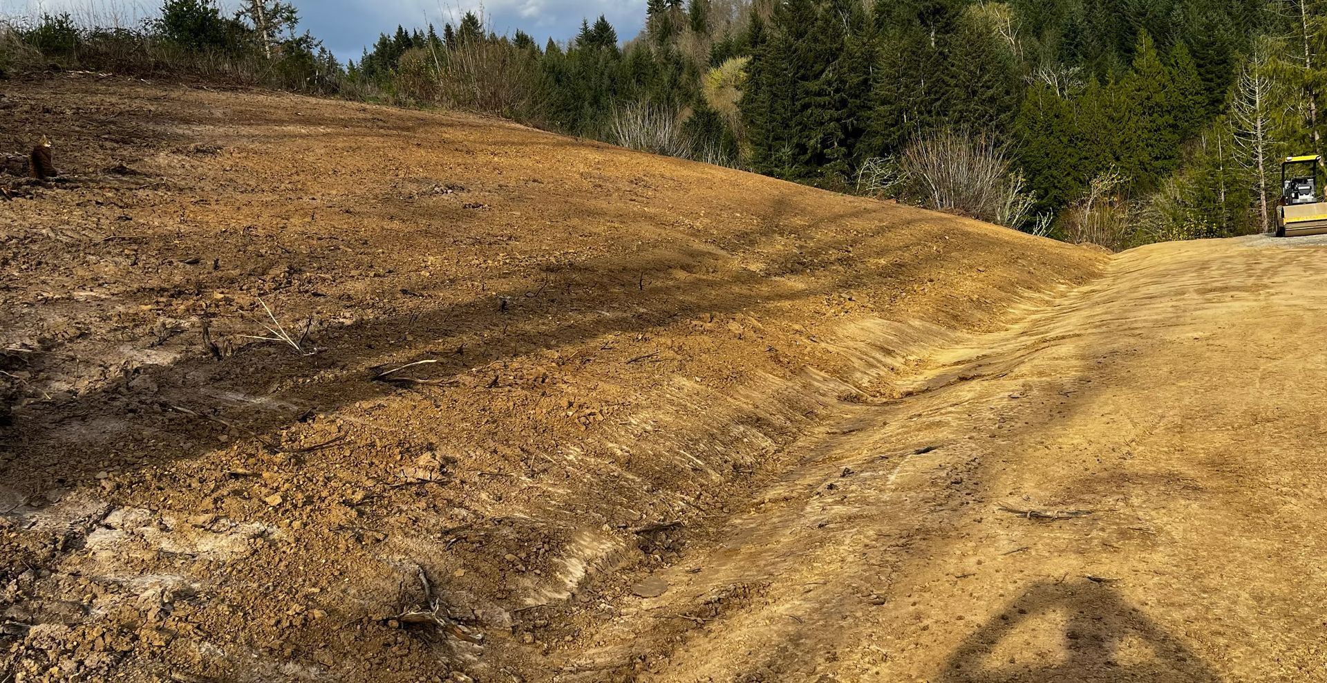 Dry, freshly cleared dirt hillside with a forested treeline under a clear sky