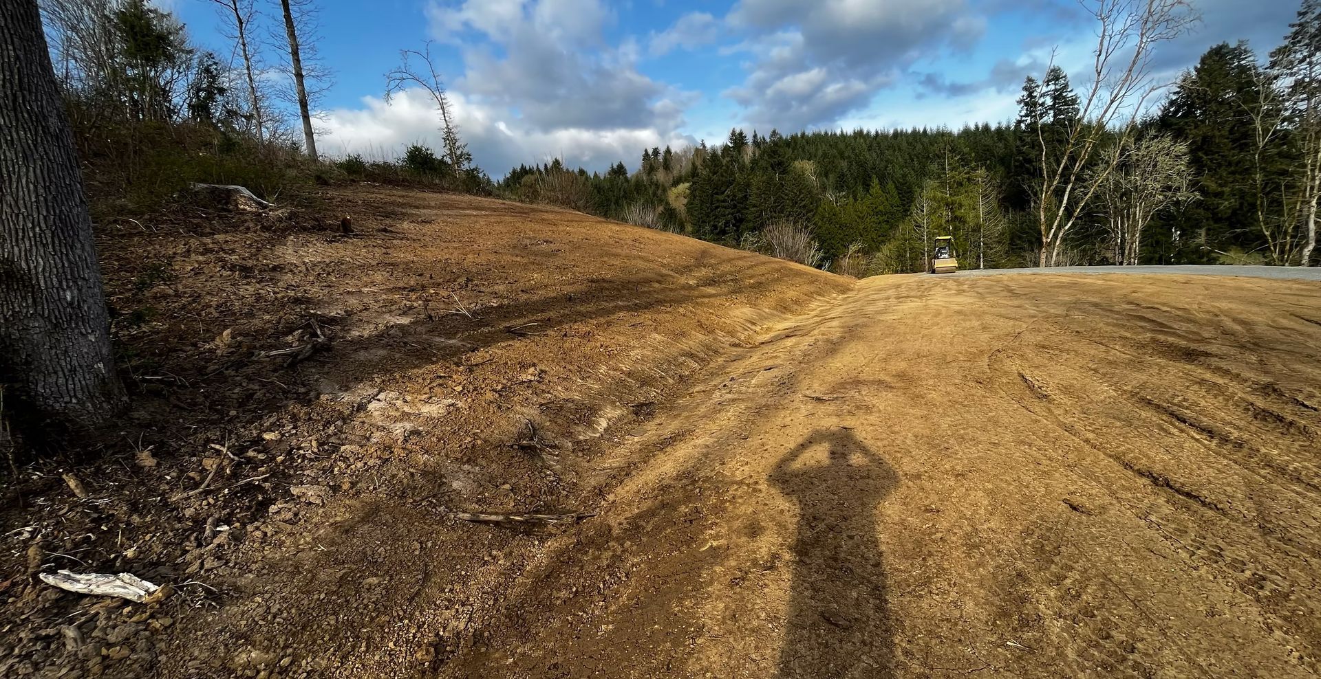 Dirt road curving through a cleared forest area under a partly cloudy sky