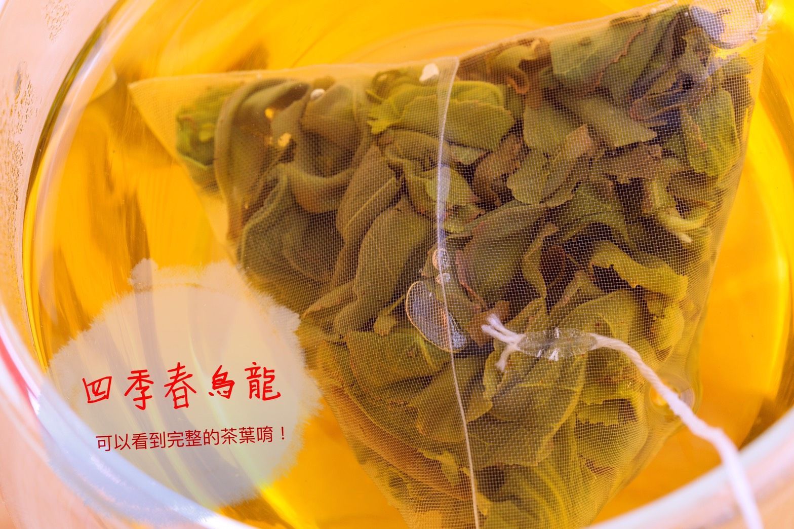 雋美佳四季春立體茶包 50入 裸裝