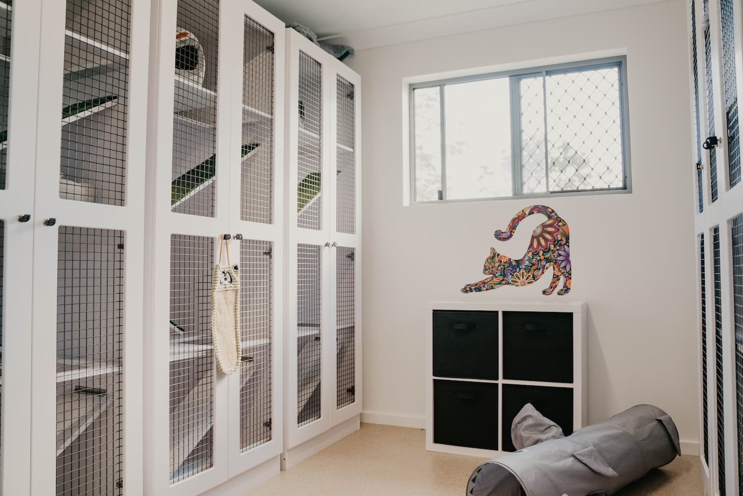 Cat Boarding — Furhill Pet Boarding in East Kempsey, NSW