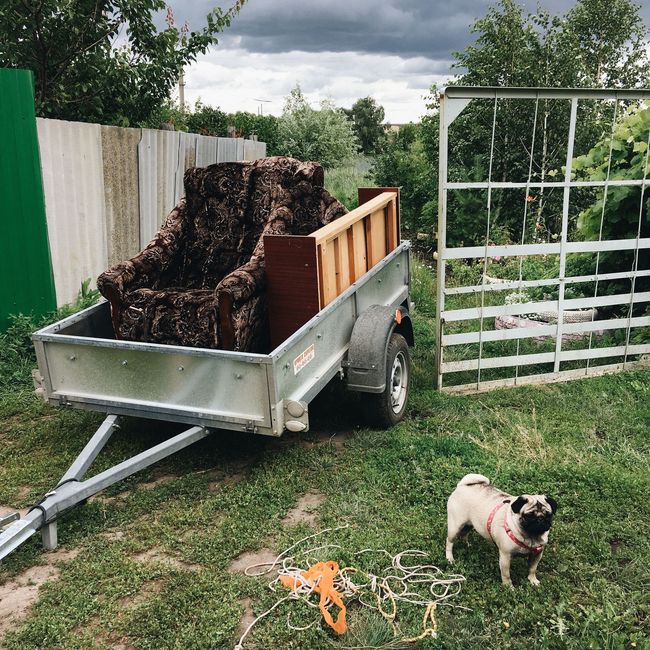 Small trailer loaded with stacked wood in a grassy yard, with a pug standing nearby under cloudy skies