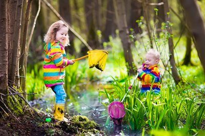 Two children in colorful rain boots catch frogs in a sunny forest clearing.