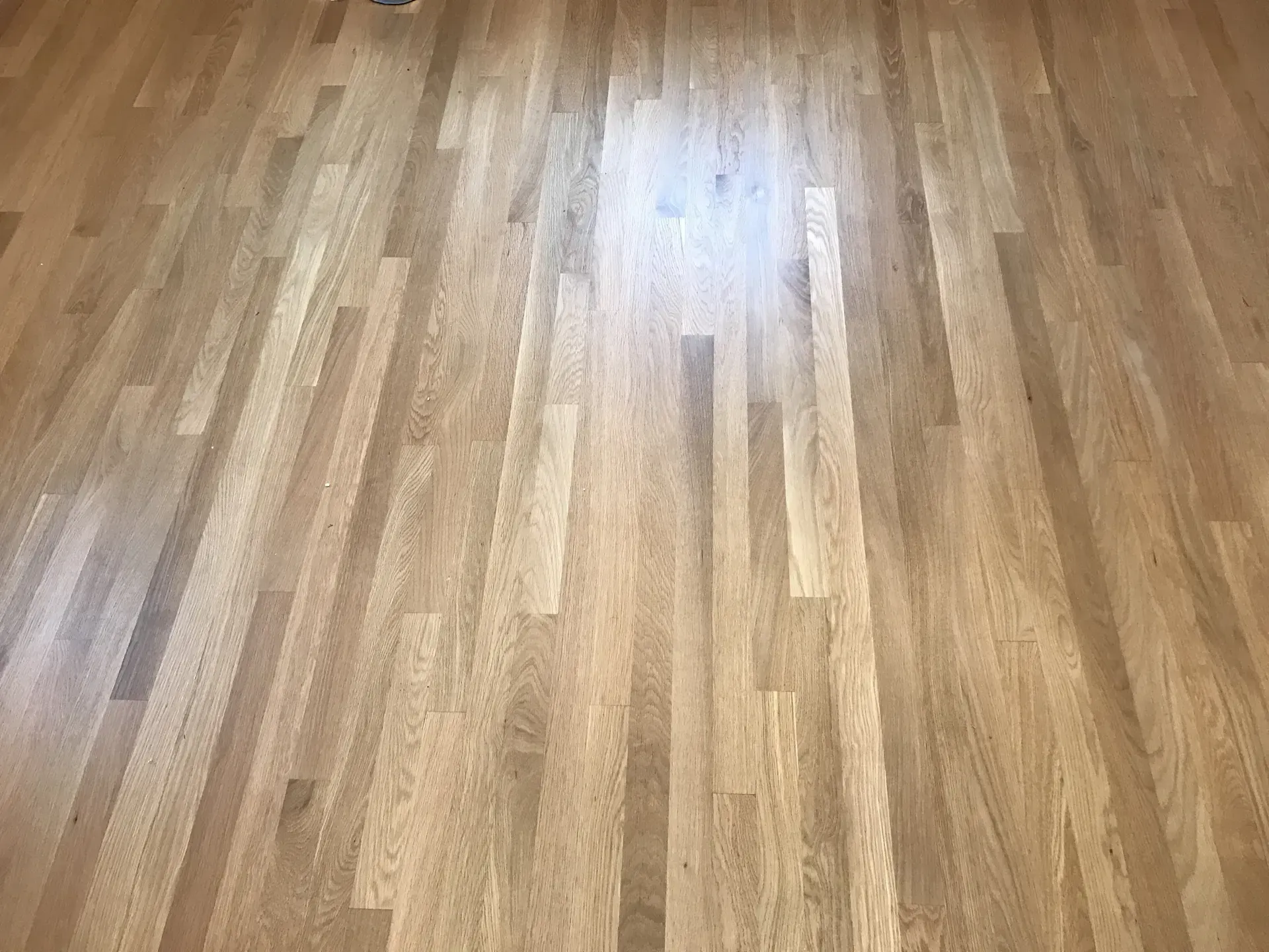 Polished light wood floor with sunlight reflecting near the top center.