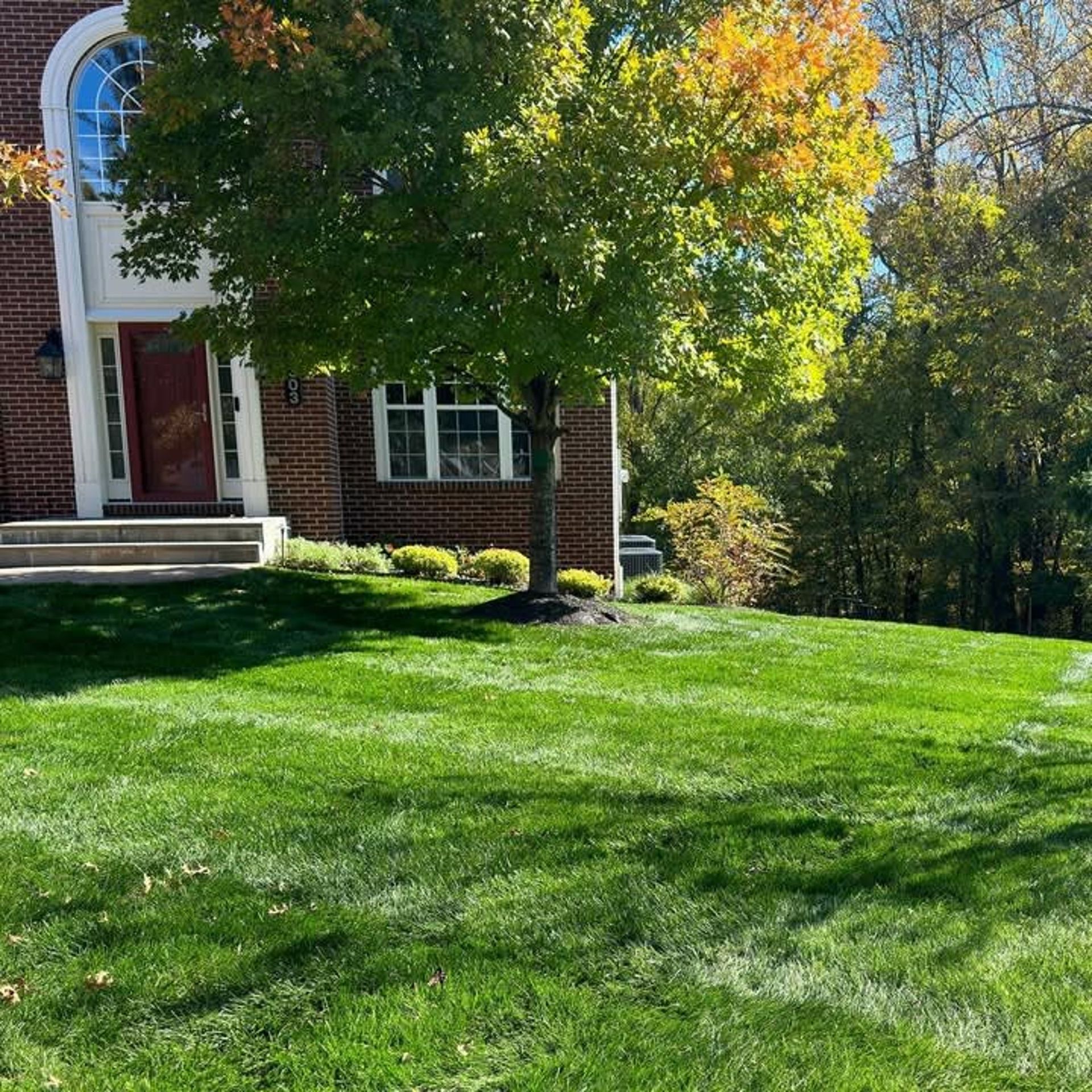 A brick house with a front door and an arched window, featuring a large tree in front on a freshly mowed green lawn.