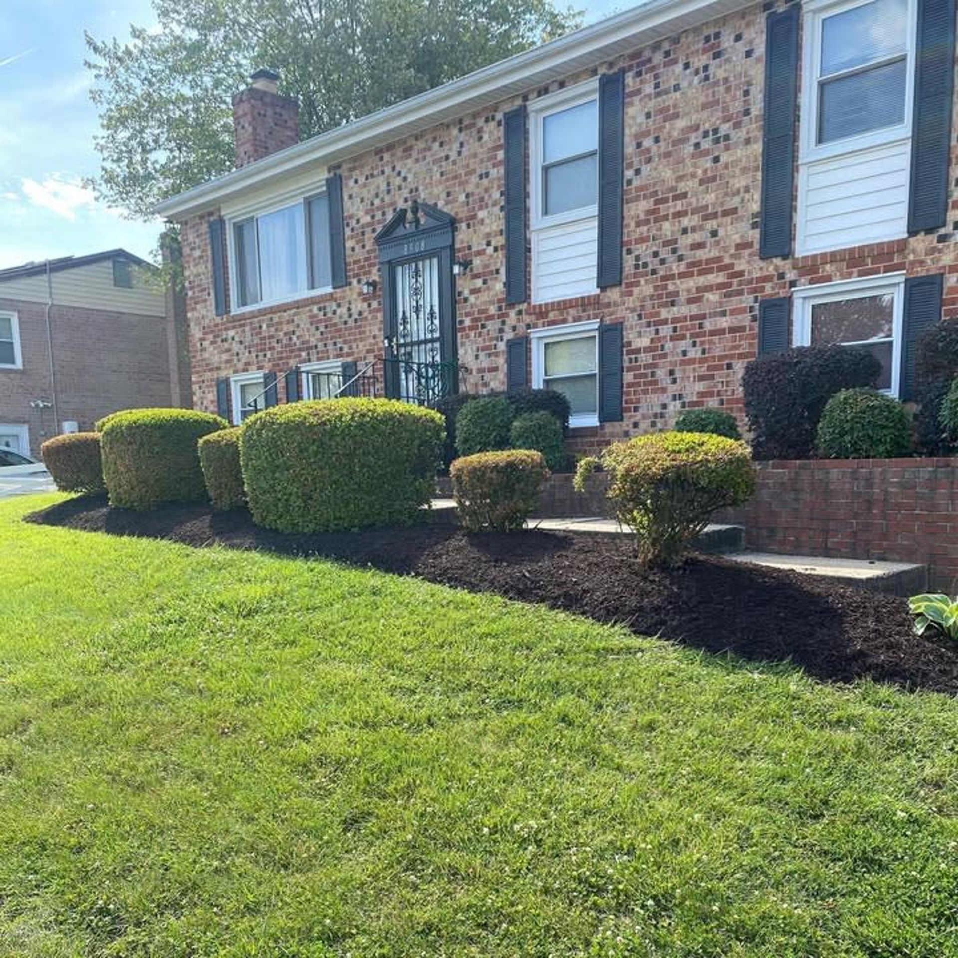A brick house with black-shuttered windows features a landscaped front garden with round, manicured shrubs and dark mulch.