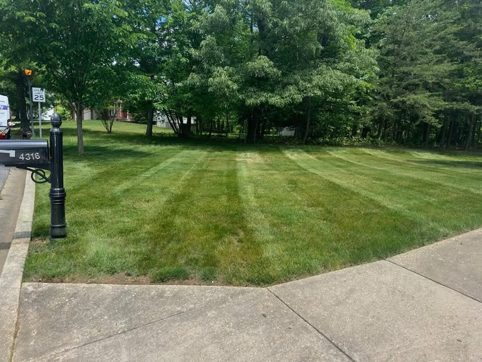 A freshly mown green lawn with visible stripes, framed by a black mailbox, a sidewalk, and lush trees in the background.