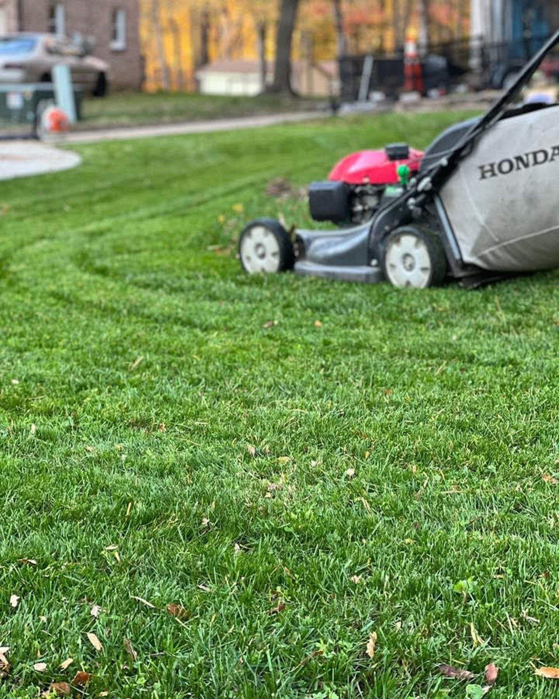 A red and gray Honda lawn mower cutting a green grass lawn, with trees and a house in the background.