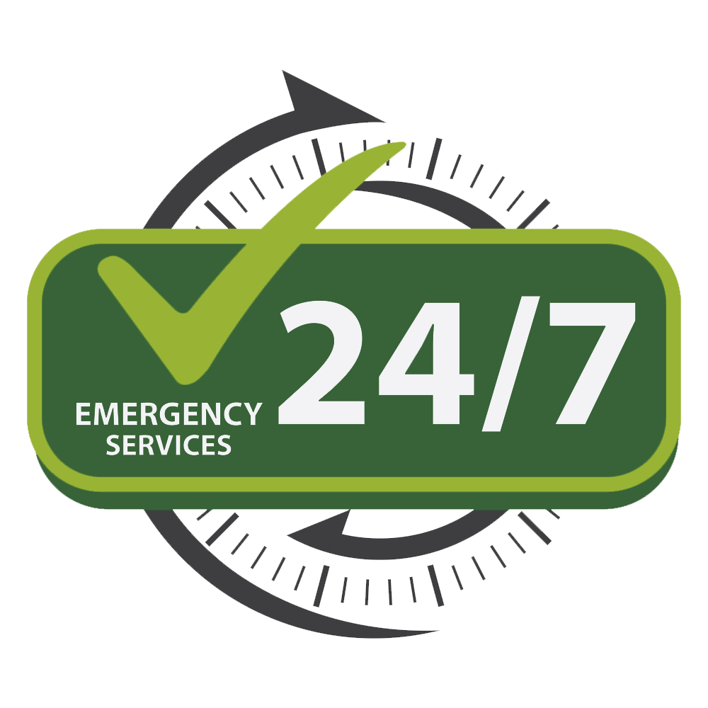 24/7 Emergency Service —Tree Removal in South Burnett, QLD
