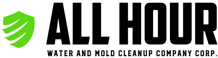 Damage Restoration Service in Sebring, FL | All Hour Water and Mold Cleanup Company Corp.